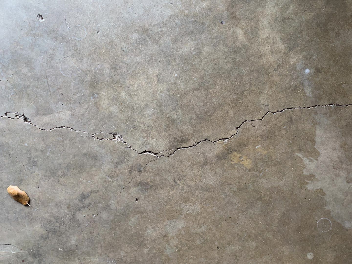Cracked concrete slab, indicating a potential foundation issue in a home. A leaf is on the edge of t…